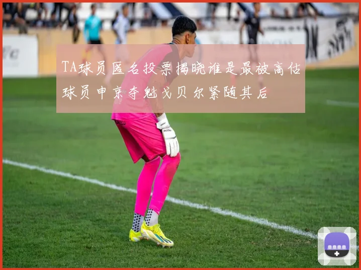 TA球员匿名投票揭晓谁是最被高估球员申京夺魁戈贝尔紧随其后