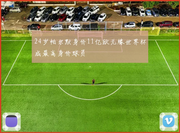 24岁帕尔默身价11亿欧无缘世界杯成最高身价球员