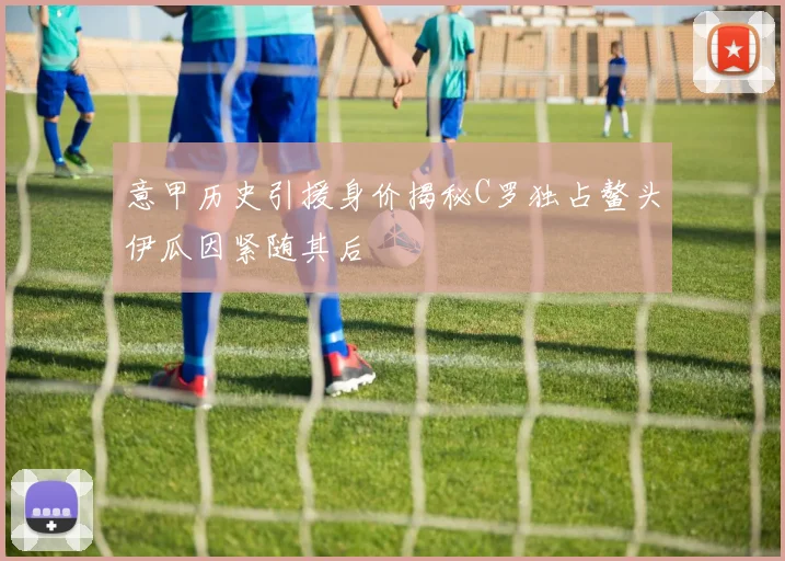 意甲历史引援身价揭秘C罗独占鳌头伊瓜因紧随其后